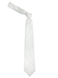 Neck Tie and Pocket Square Set for Men
