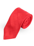Peluche Absolute Checks Microfiber Necktie For Men