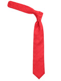 Peluche Absolute Checks Microfiber Necktie For Men