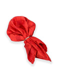 Neck Tie and Pocket Square Set for Men