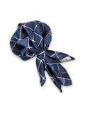 Neck Tie and Pocket Square Set for Men