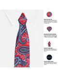 Peluche Beautifully Crafted Necktie For Men