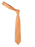 Peluche Elegant Self designed Necktie For Men
