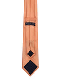 Peluche Elegant Self designed Necktie For Men