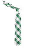 Peluche Sassy Checkered Green Neck Tie For Men