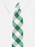 Peluche Sassy Checkered Green Neck Tie For Men