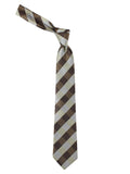 Peluche Sassy Checkered Brown Neck Tie For Men