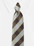 Peluche Sassy Checkered Brown Neck Tie For Men