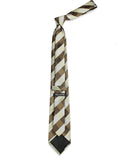 Neck Tie and Pocket Square Set for Men
