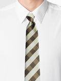 Neck Tie and Pocket Square Set for Men