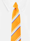 Peluche Snappy Striped Orange Neck Tie For Men