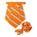 Cravat and Pocket Square Set for Men