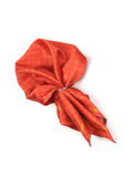 Neck Tie and Pocket Square Set for Men