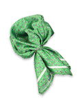 Neck Tie and Pocket Square Set for Men