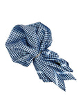 Neck Tie and Pocket Square Set for Men