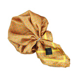 Neck Tie and Pocket Square Set for Men