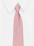 Neck Tie and Pocket Square Set for Men