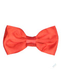 Bowtie for Men