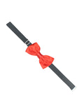 Bowtie for Men