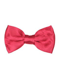 Bowtie for Men