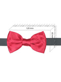 Bowtie for Men
