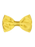 Bowtie for Men
