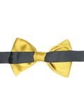 Bowtie for Men
