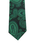Neck Tie and Pocket Square Set for Men