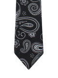 Neck Tie and Pocket Square Set for Men