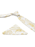 Neck Tie and Pocket Square Set for Men