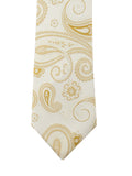 Neck Tie and Pocket Square Set for Men