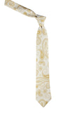 Neck Tie and Pocket Square Set for Men