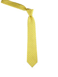 Neck Tie and Pocket Square Set for Men