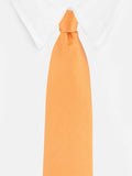 Necktie for Men