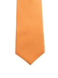 Neck Tie and Pocket Square Set for Men