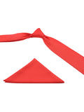 Neck Tie and Pocket Square Set for Men