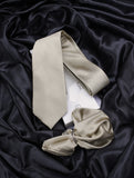 Neck Tie and Pocket Square Set for Men