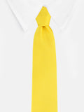 Necktie for Men