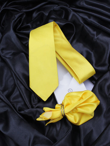 Neck Tie and Pocket Square Set for Men