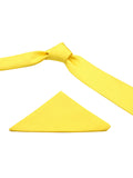 Neck Tie and Pocket Square Set for Men