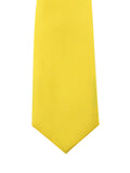 Neck Tie and Pocket Square Set for Men