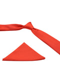 Neck Tie and Pocket Square Set for Men