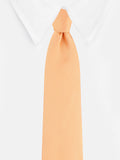Necktie for Men