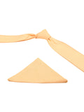 Neck Tie and Pocket Square Set for Men