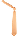 Neck Tie and Pocket Square Set for Men