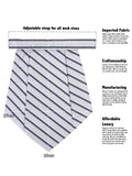 Kavove The Zebra Striped Grey Cravat & Pocket Square set