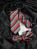 Neck Tie and Pocket Square Set for Men