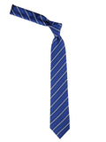 Neck Tie and Pocket Square Set for Men