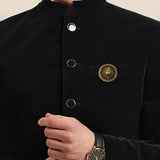 Kavove The Regal Roar Golden Colour Brooch
