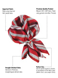 Kavove The Selective Striped Red Cravat & Pocket Square set